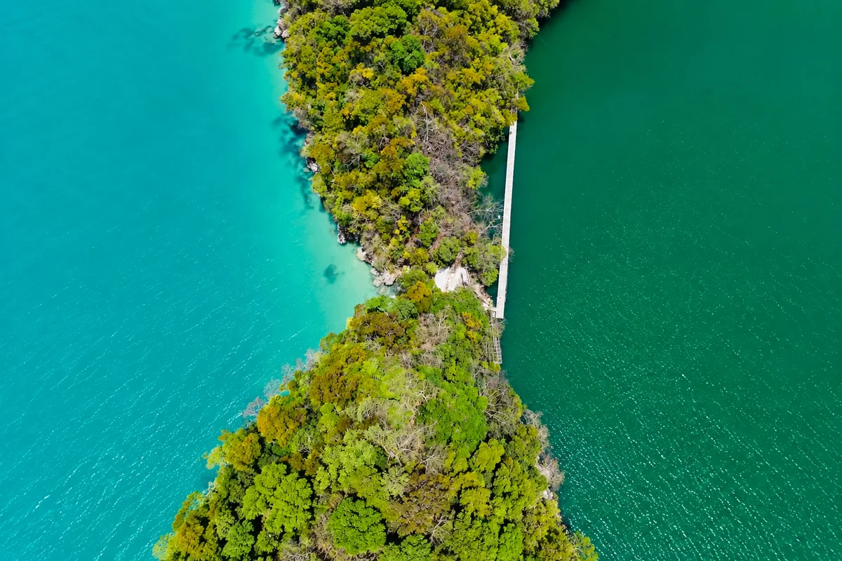 Aerial view of the tree-covered shoreline and lakeside walkway at Dayang Bunting