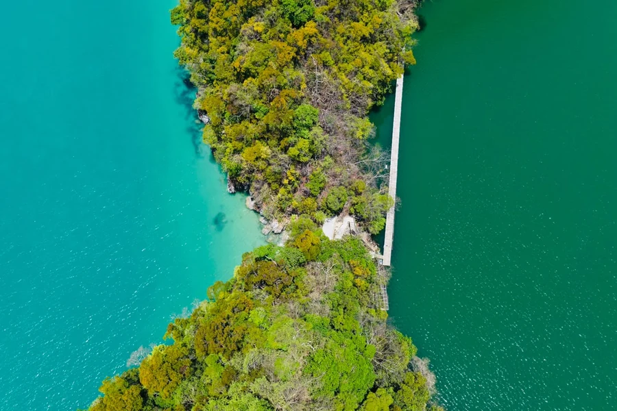 Aerial view of the tree-covered shoreline and lakeside walkway at Dayang Bunting