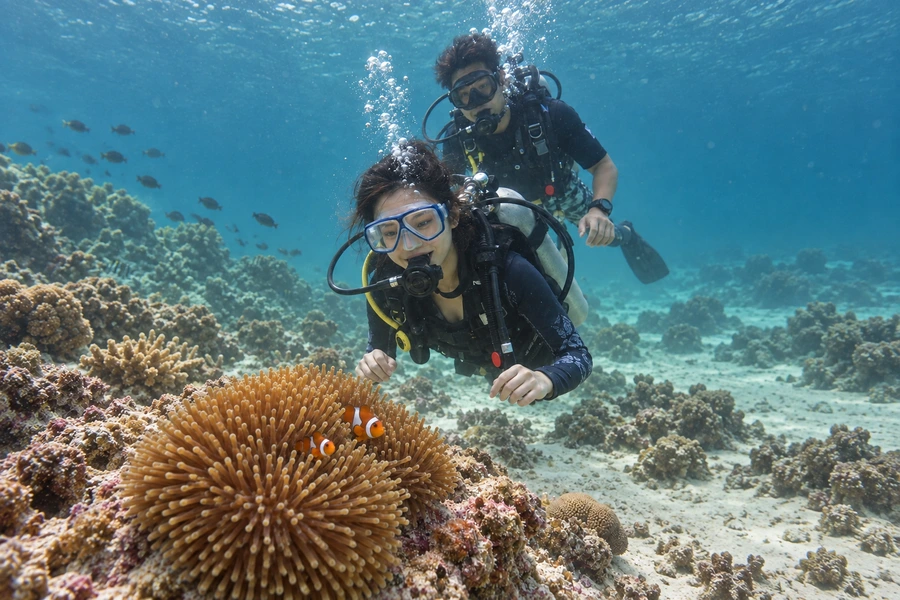 Two scuba divers swimming above an anemone and clownfish